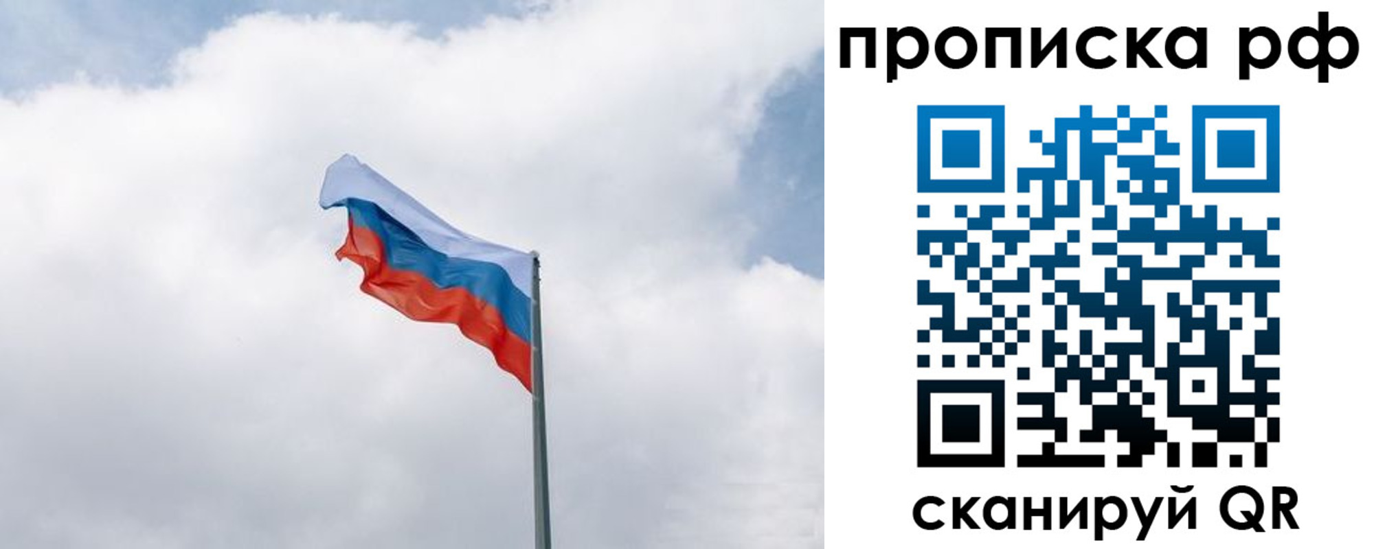 прописка гарантия в Ростовской области